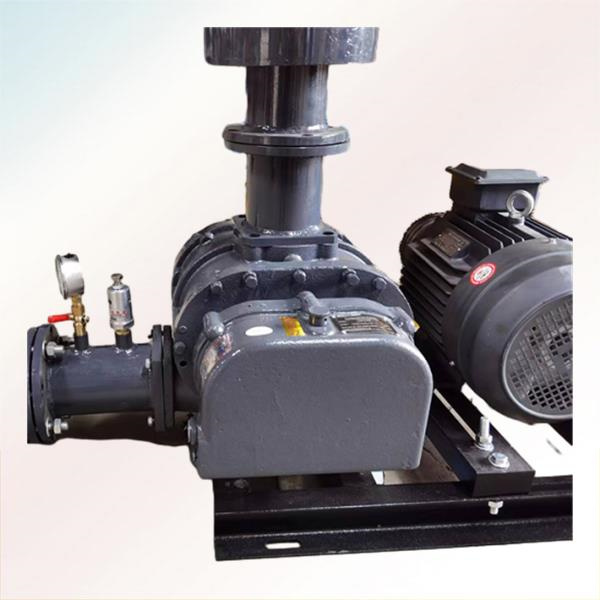 Understanding the design and functionality of a three lobe roots blower