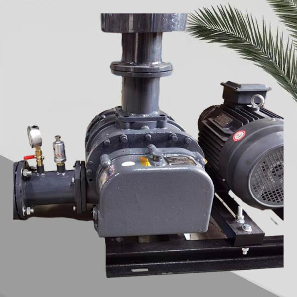 Maximizing Safety and Productivity with Dust Conveying Solutions