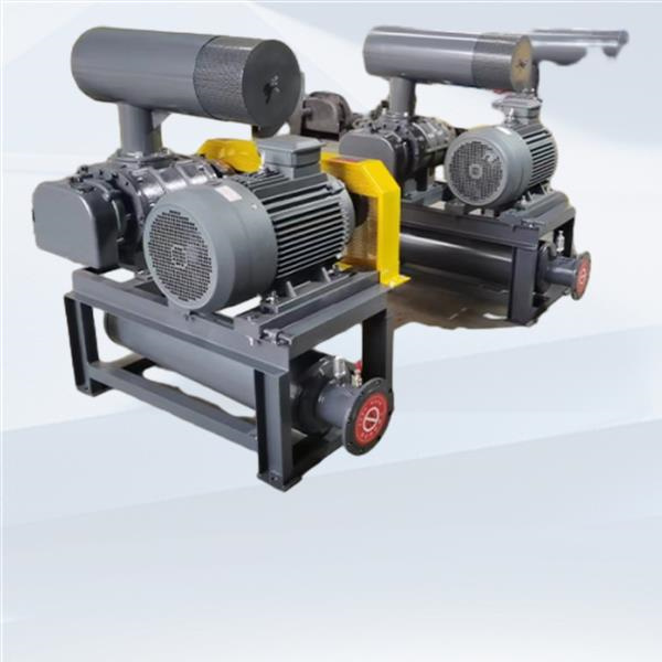 Essential Elements of Effective Conveying System Design