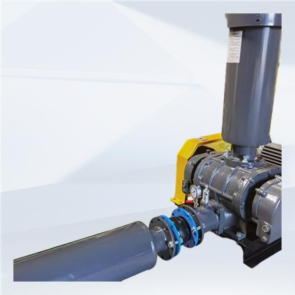 Experience uninterrupted vacuum with the latest roots booster pump.