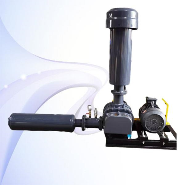 Maximizing productivity and growth rates in aquaculture through air blower technology