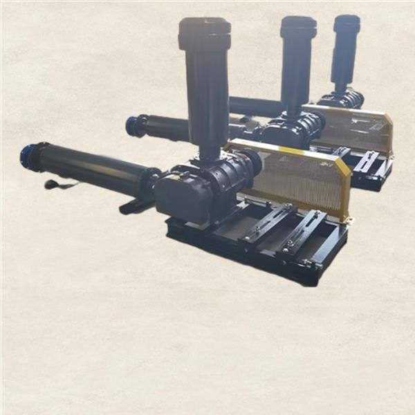 Lean Phase Pneumatic Conveying in Action