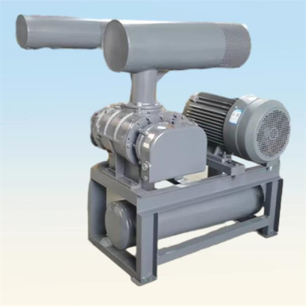 Why Choose a Dust Conveying System for Your Process?