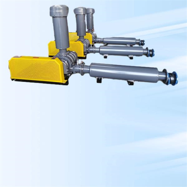 Maintenance Tips for Ensuring Longevity of Roots Type Pump
