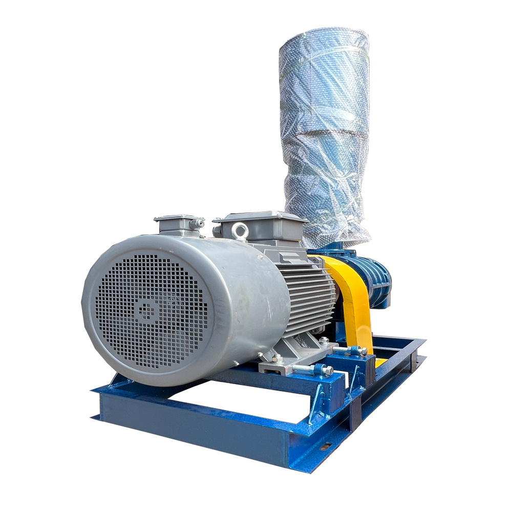 Maintenance tips for roots vacuum pumps.