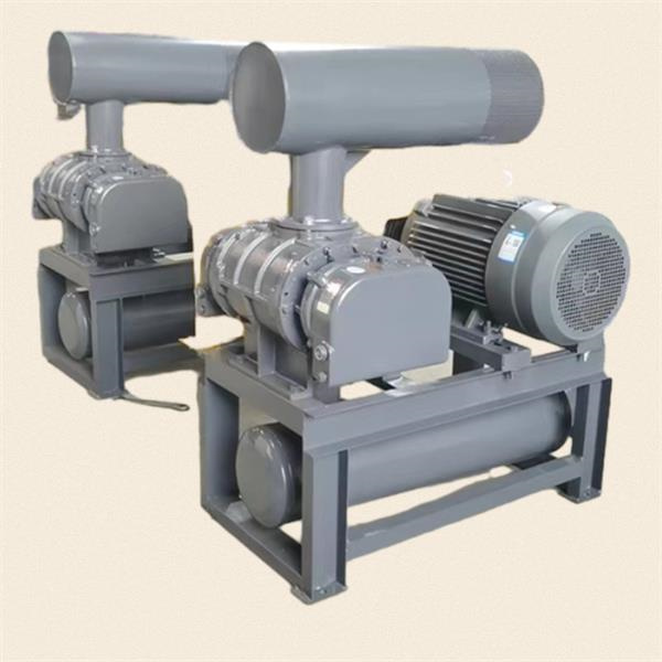 Understand the advantages of using this blower in your operations.