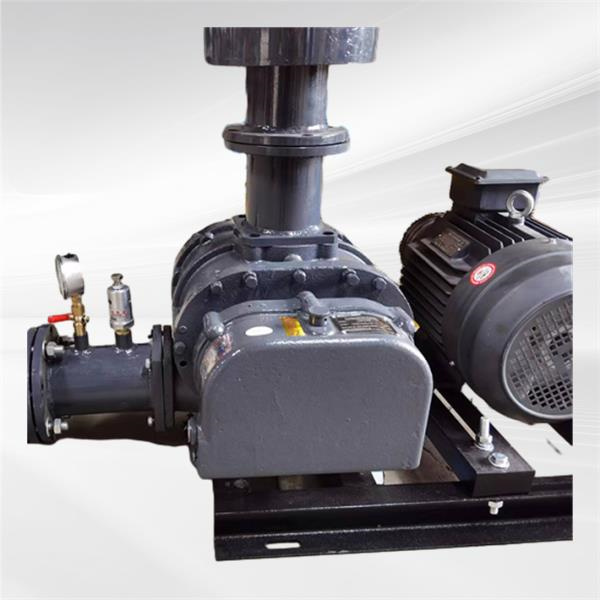 The Importance of Regular Maintenance for Roots Blowers and Compressors