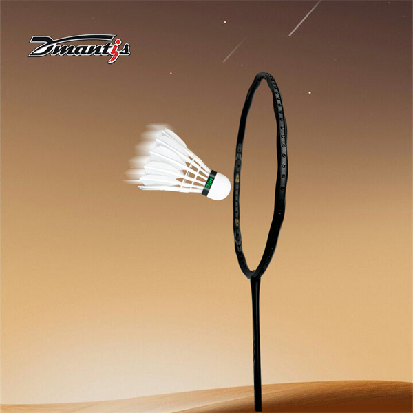 Porta il tuo gioco a un livello superiore con il nostro innovativo nuovo badminton racke