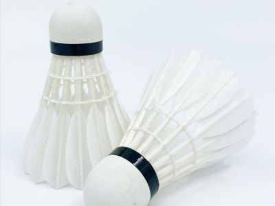 Comblez l'écart en matière de durabilité des volants en plumes commandés en gros