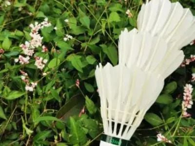 Sourcing the best high tension high lbs badminton racket for competitive play