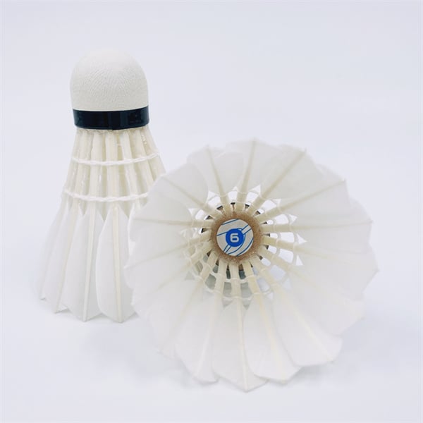 D6 Badminton Shuttlecock per uso professionale