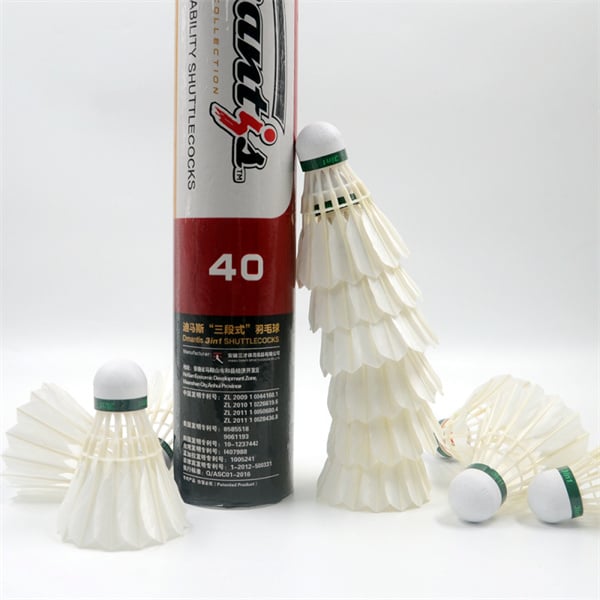 Die D40 Badminton-skermpie.