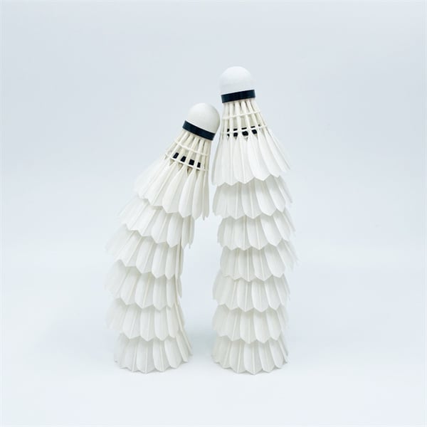 Oorweldig jou teenstander in Badminton D5 toernooie