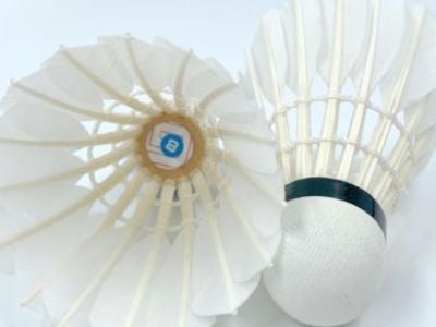Bạn đang tìm kiếm nhà cung cấp cầu lông để vận chuyển số lượng lớn đáng tin cậy?