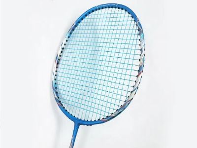Analyse des tendances saisonnières de la demande d'équipements de badminton sur les marchés asiatiques