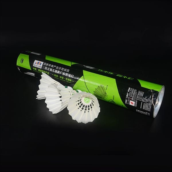 Comprensione dei materiali utilizzati per la fabbricazione di una palla da badminton
