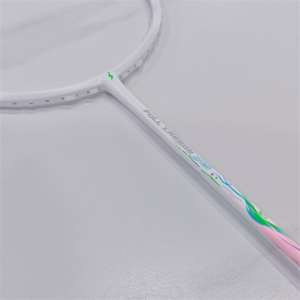 Scopri la differenza con il design elegante e la superiore giocabilità del dmantis D15 badminton racke