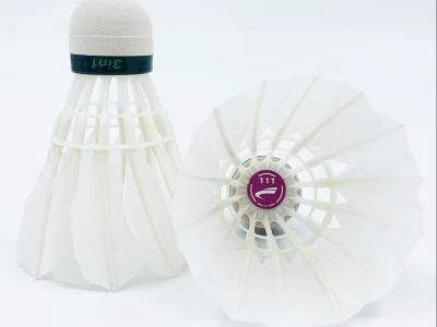 Na 5 N-ghabhálaithe is Fearr don Shuttlecock agus na Péacacha