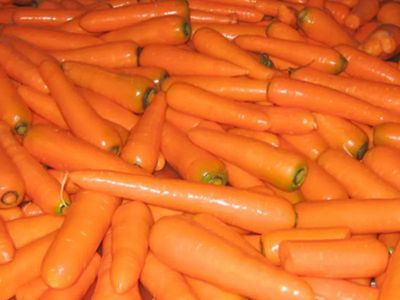 Cusub iyo Baar: Raadinta Barbaraha Qofka Ugu Hore San-Immaan