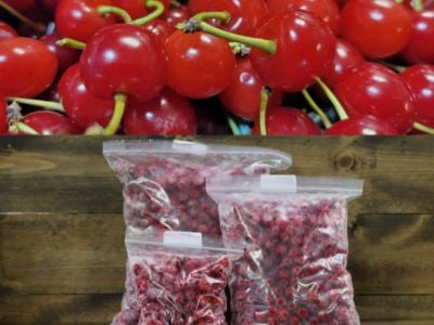 Waxyaabaha Isticmaalka Karruurtiisa oo Ku Jirin Xoolaha Wadajiga