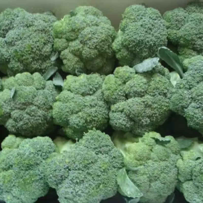 Maxaa yeelay IQF Broccoli waa mid aad u muhiim ah guriga: Awoodiina waa muhiim