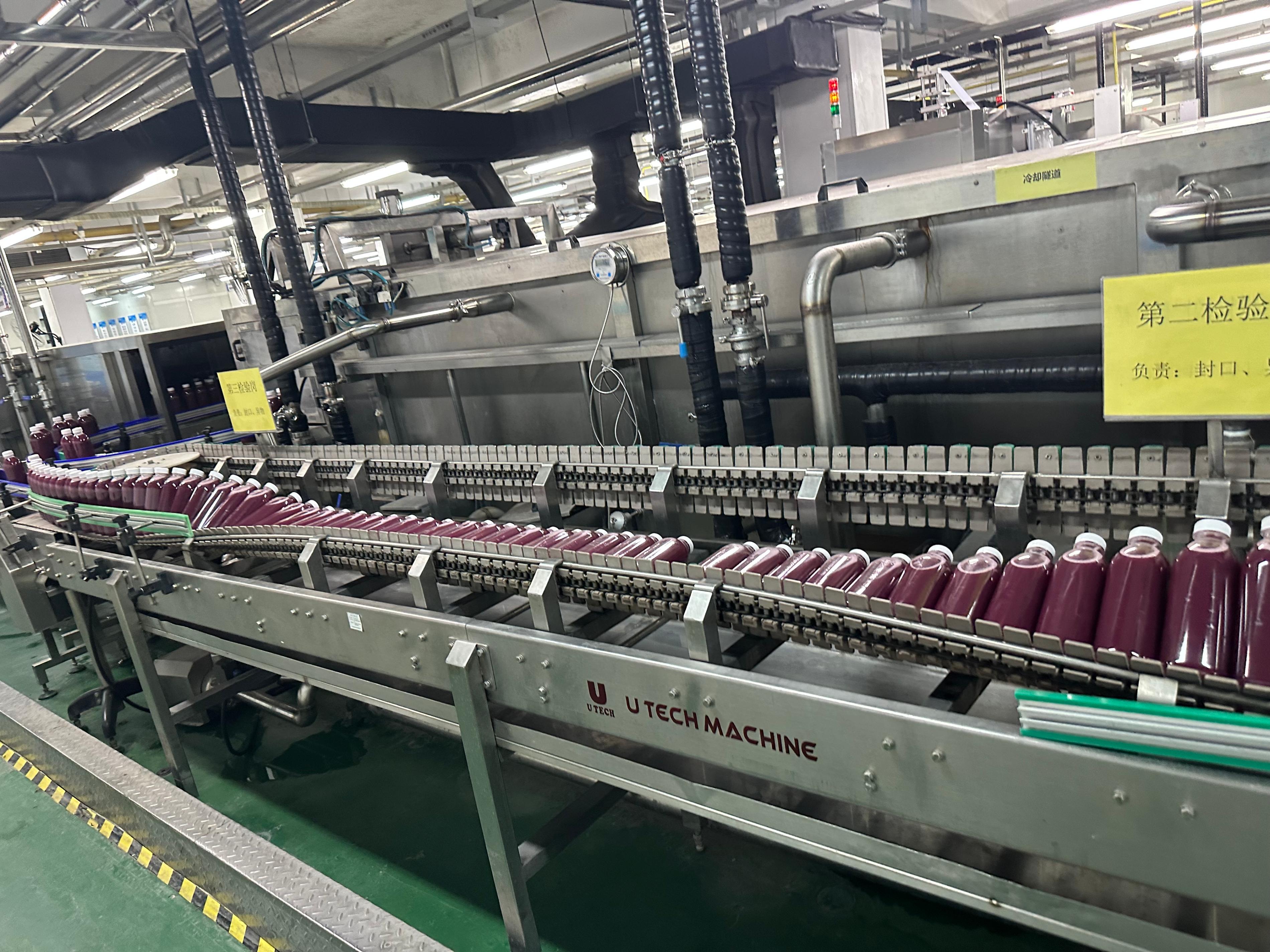 product 2024 new natural fresh fruit drinking processing plant pomegranate juice hot filling machine production line for sale price-13