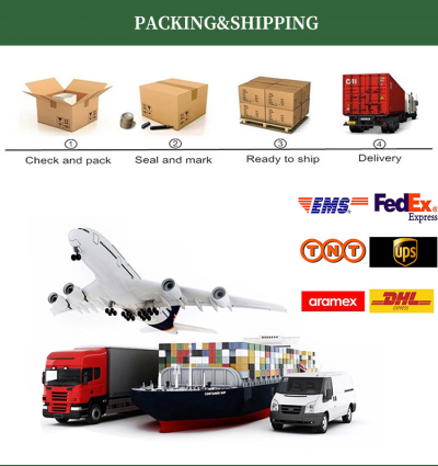 Factory Pop Up Card Packing and Shipping Process.png