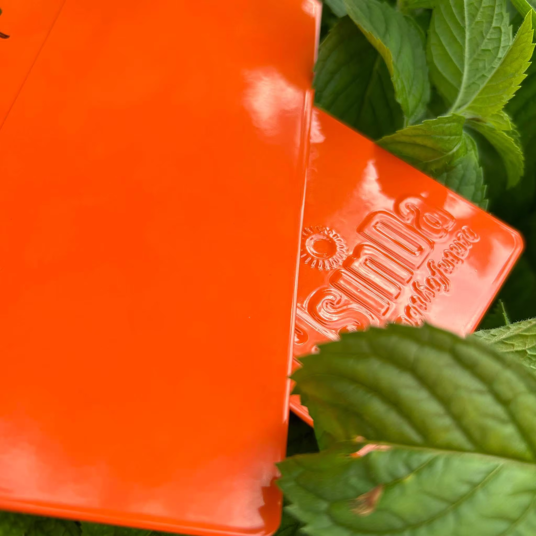 orange color.jpg