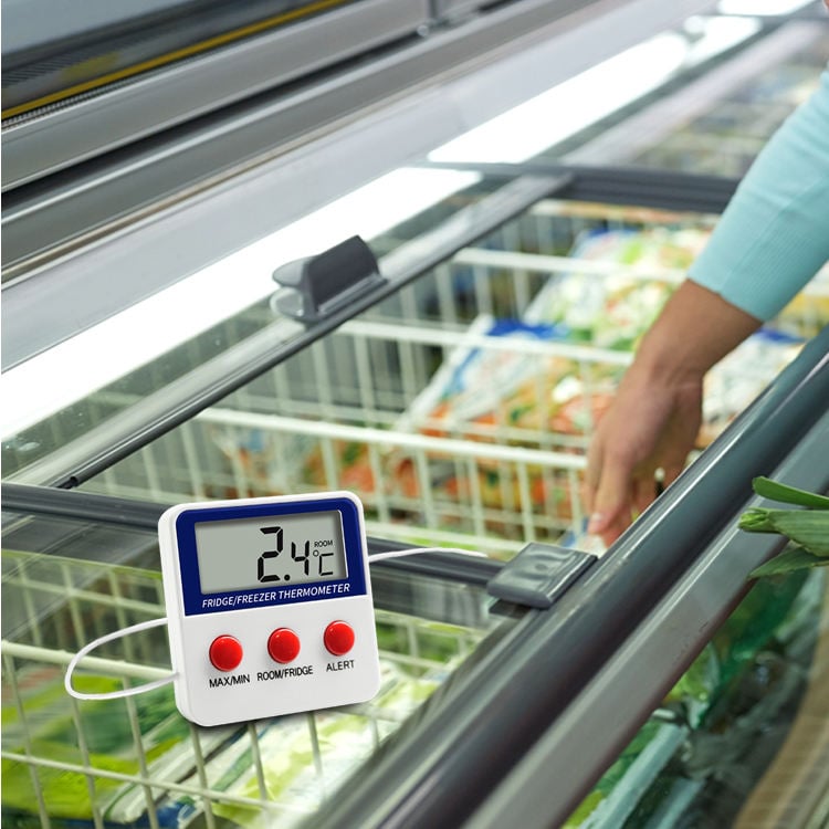 Fridge Thermometer