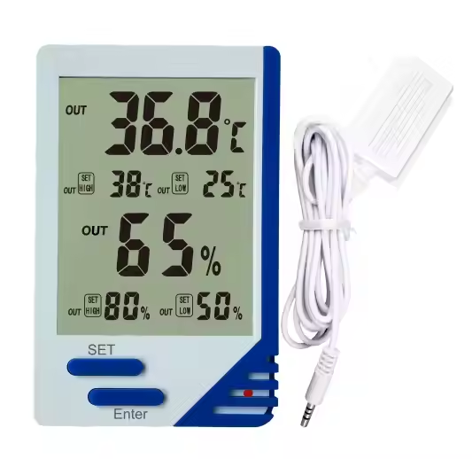 Can a Hygrometer Help Prevent Mold and Allergens at Home?