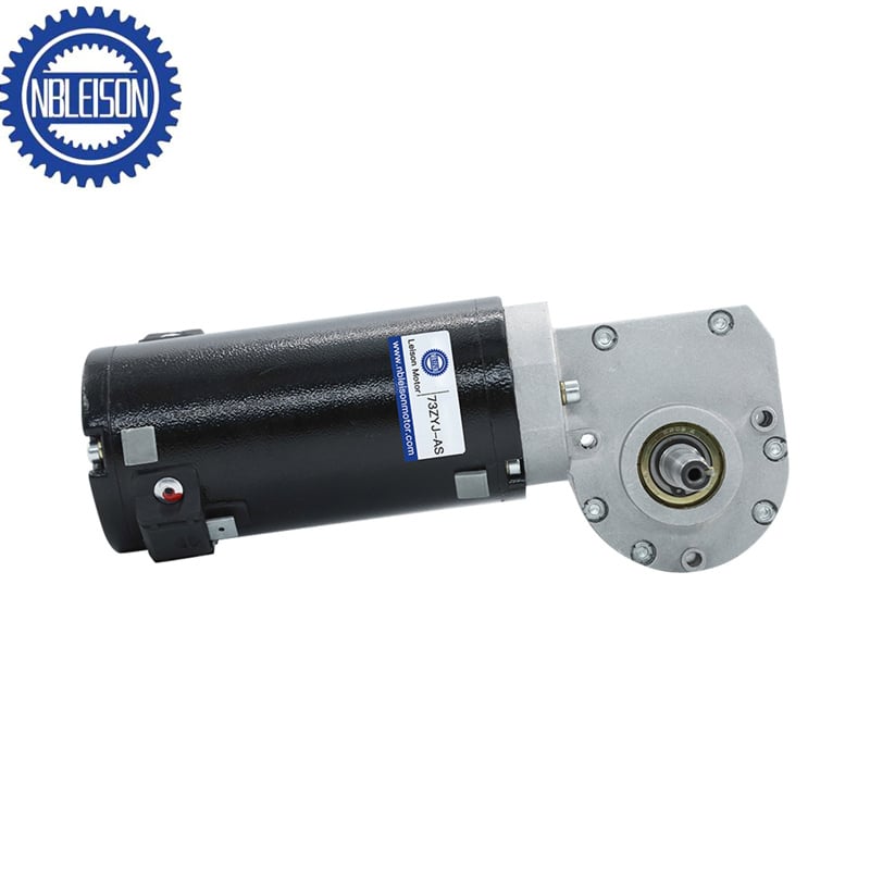 LS-73ZYJT DC Wurzelgetriebe-Motor