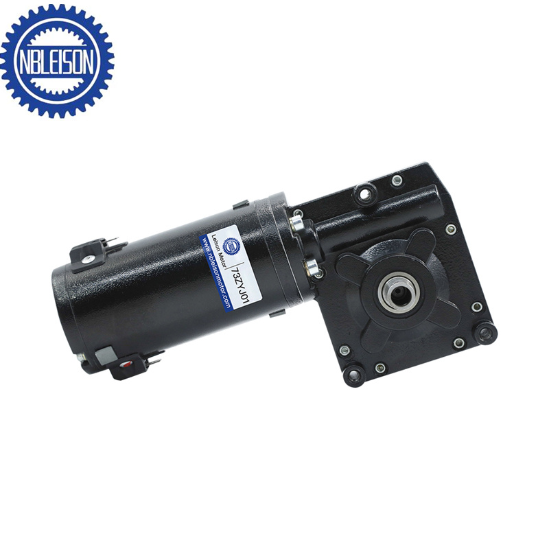LS-73ZYJ01 Gleichstrom Schneckengetriebe Motor