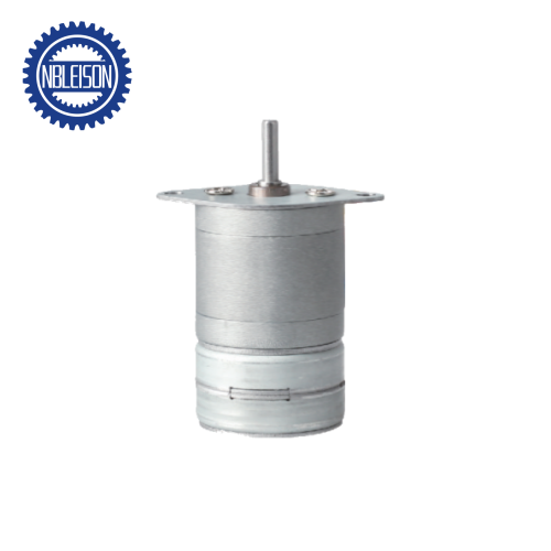 25BY212-100 Permanent Magnet Schrittmotor