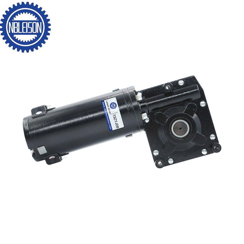 LS-73ZYJ08 Gleichstrom Schneckengetriebe Motor