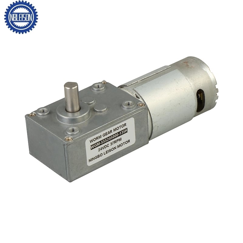 LS-WGMM4058555 DC-Wurmgrummotor