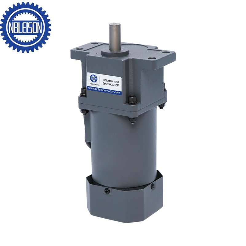 250W/300W AC Getriebe motor