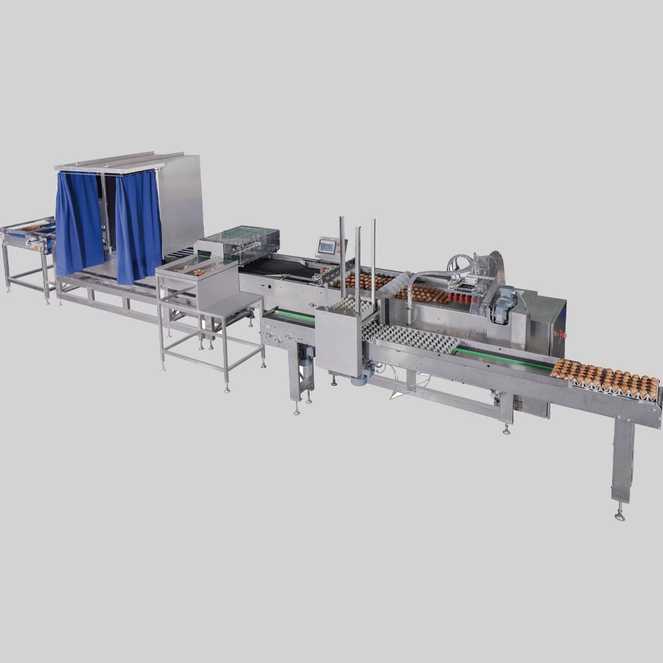 Egg grading & automatic loading system
