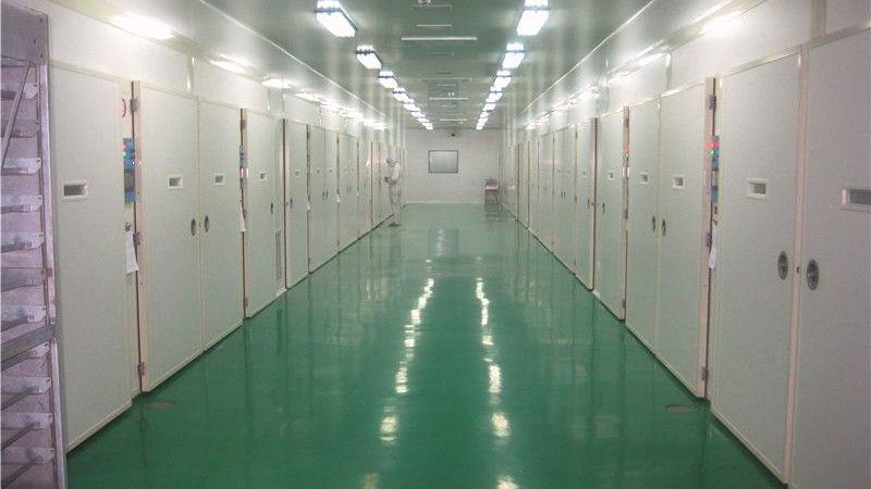 How to select the right egg incubator for your needs?