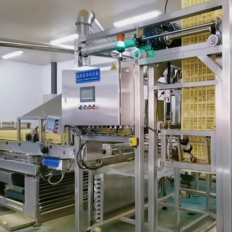 Automatic chick treating system