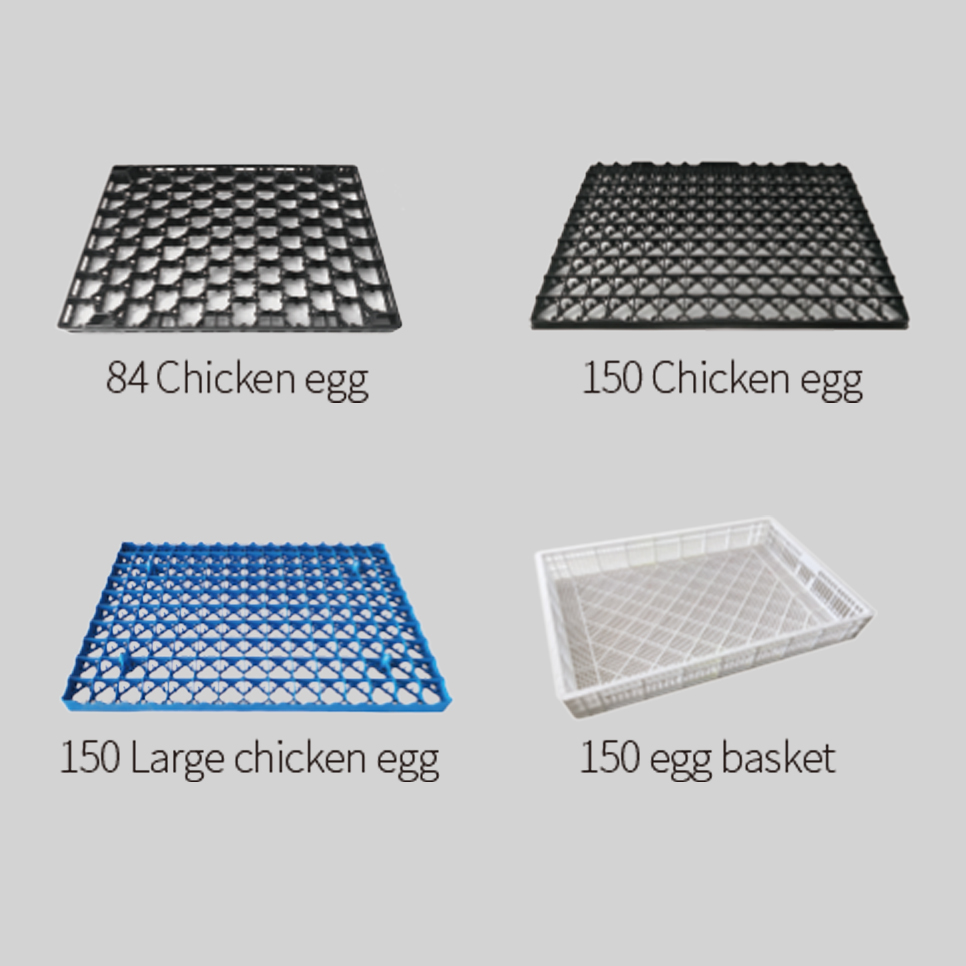 Setter Tray/ Hatcher Basket