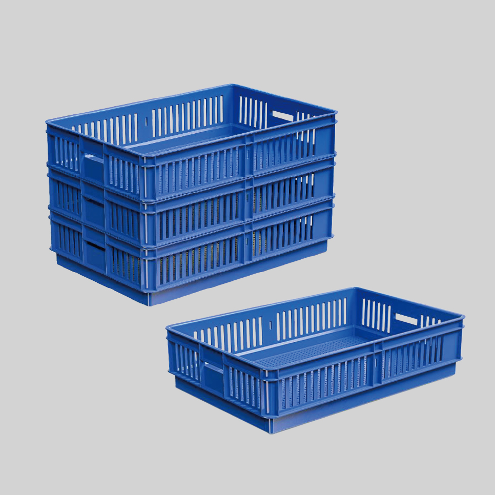 Chick boxes