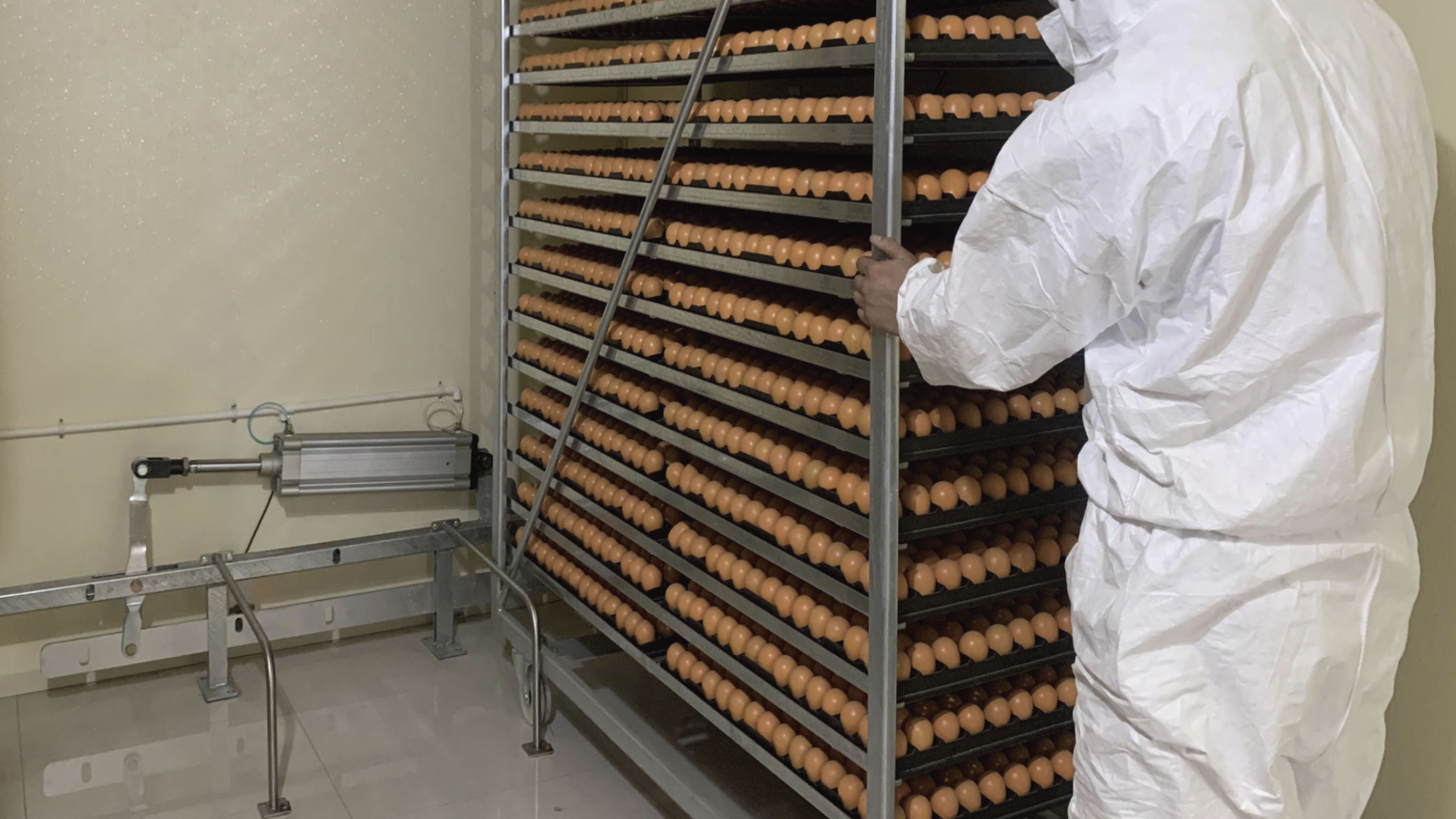 What is hatchery equipment and how does it work?