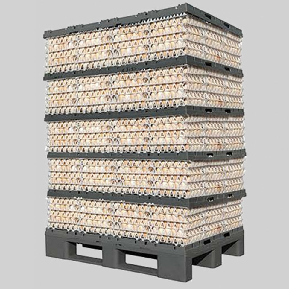 Farm tray/ pallet