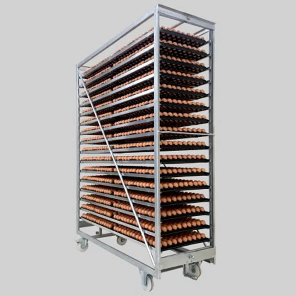 Why Is Temperature Control Critical in Chicken Incubator Performance?