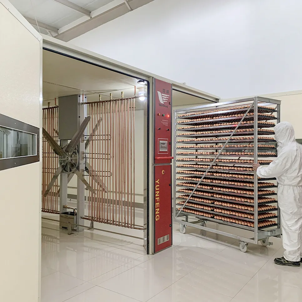 Comparing Industrial Incubators: Energy Efficiency vs Capacity