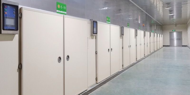 Does the single-stage incubator has a better hatching result than the multistage incubator?