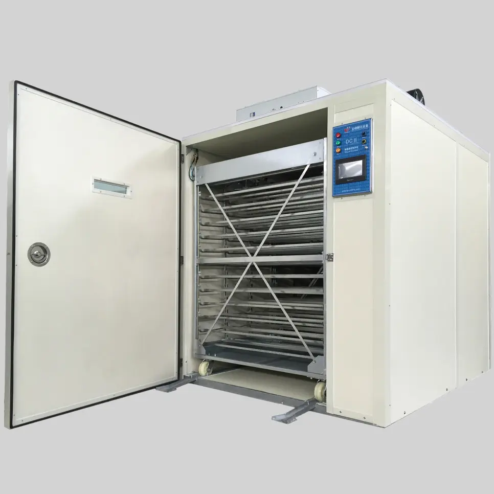 What Are the Common Problems in Chicken Incubation and How to Avoid Them?