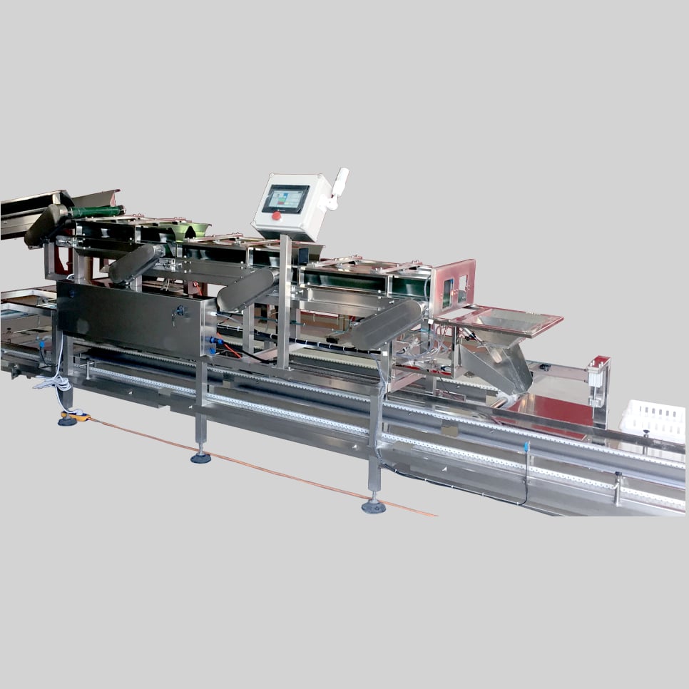 Chick counting machine