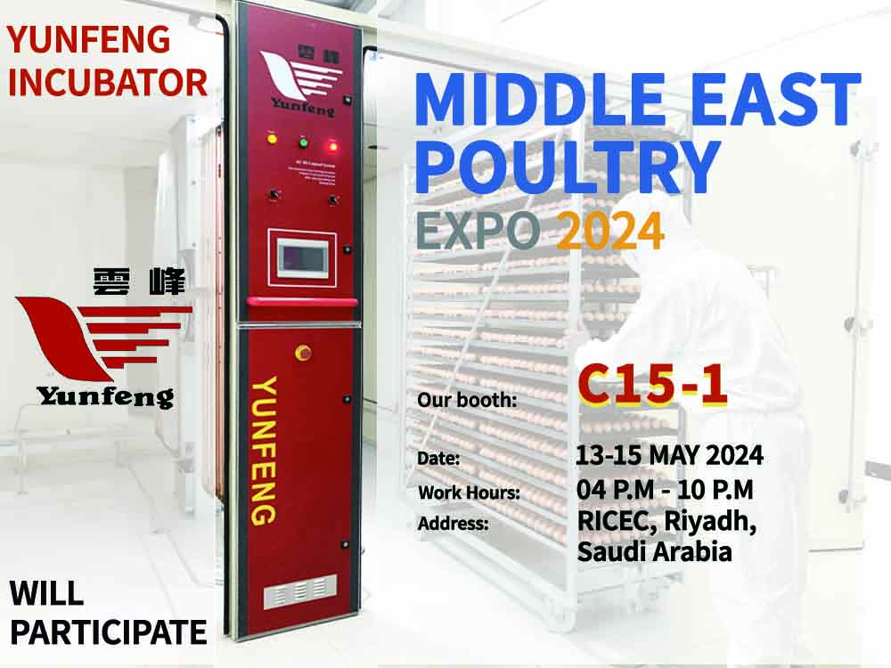 exhibition invitation.jpg