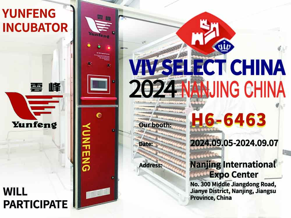 exhibition invitation.jpg